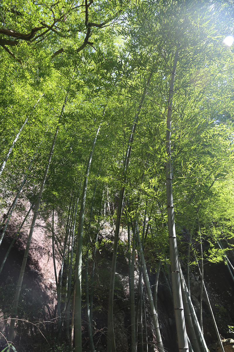 南尖岩景区一日游
