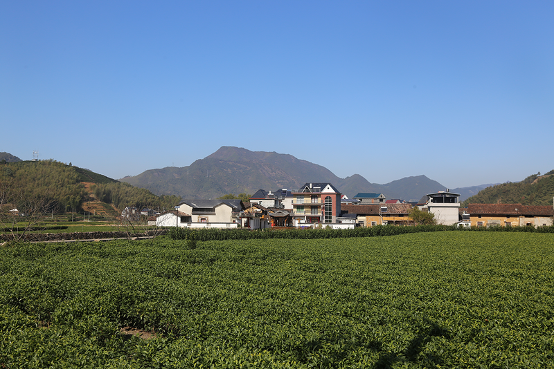 南尖岩景区一日游