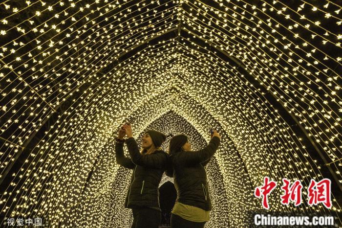 当地时间2019年11月19日,英国伦敦,英国皇家植物园林开启圣诞灯光秀。 图片来源:视觉中国
