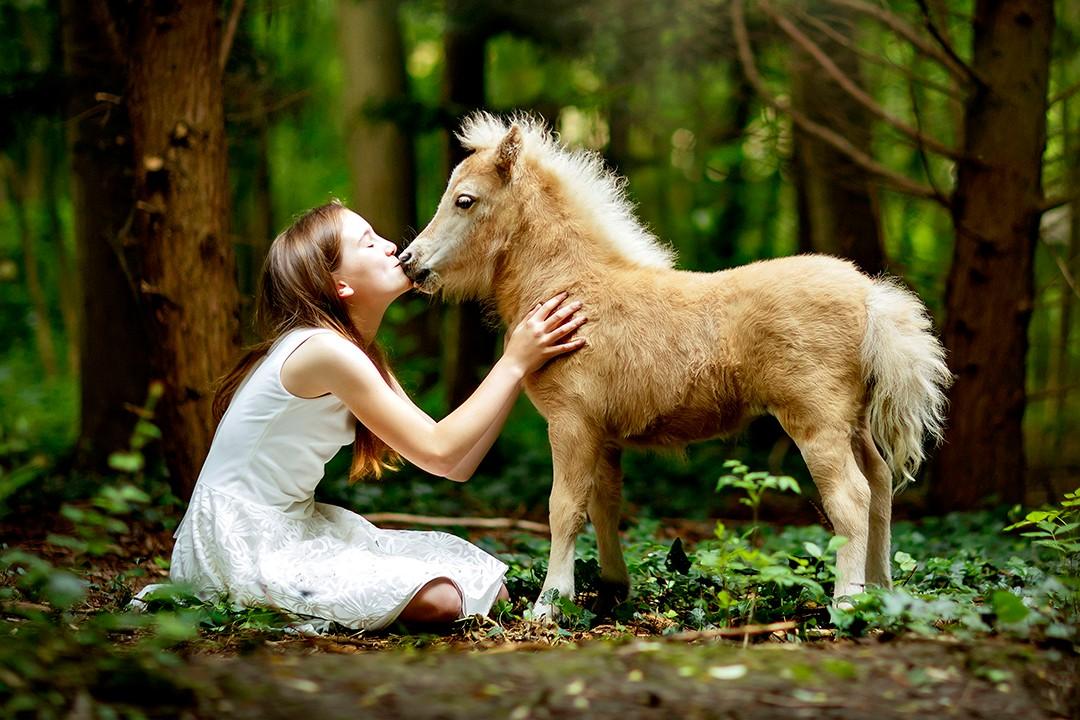 动物辅助治疗在全球越来越普遍,除了常见的小猫小狗,马匹和海豚等也在