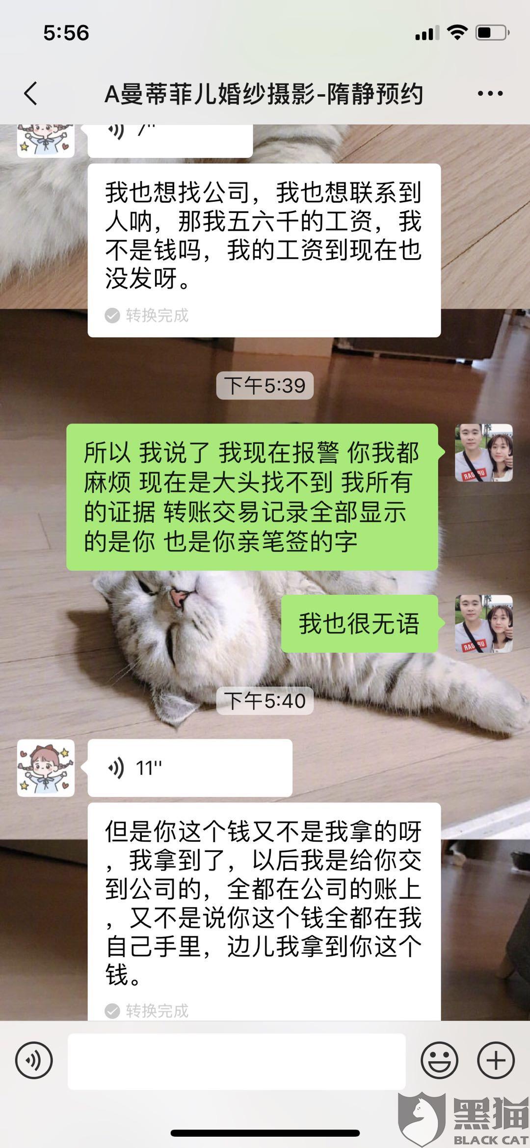 黑猫婚纱_黑猫婚纱照(3)