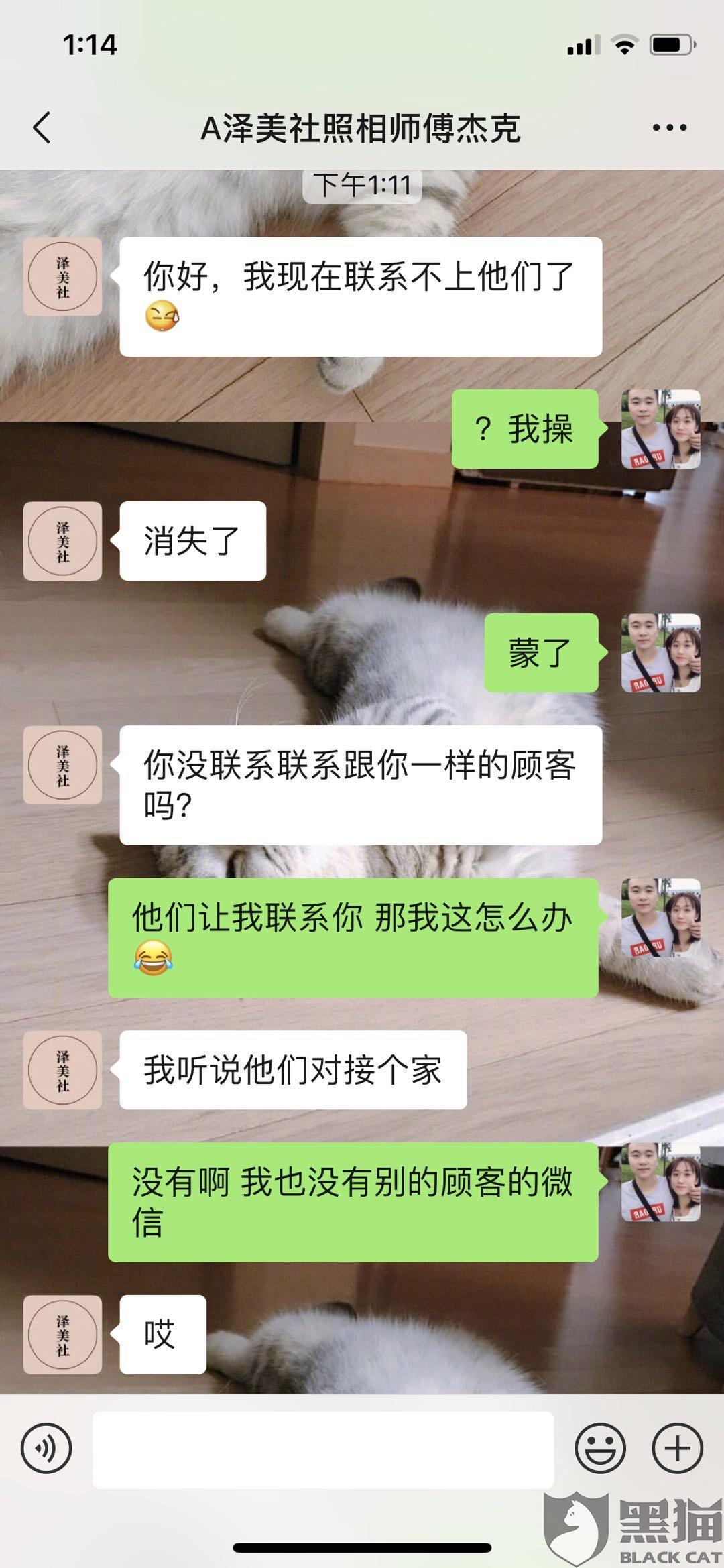 黑猫婚纱_黑猫婚纱照(3)