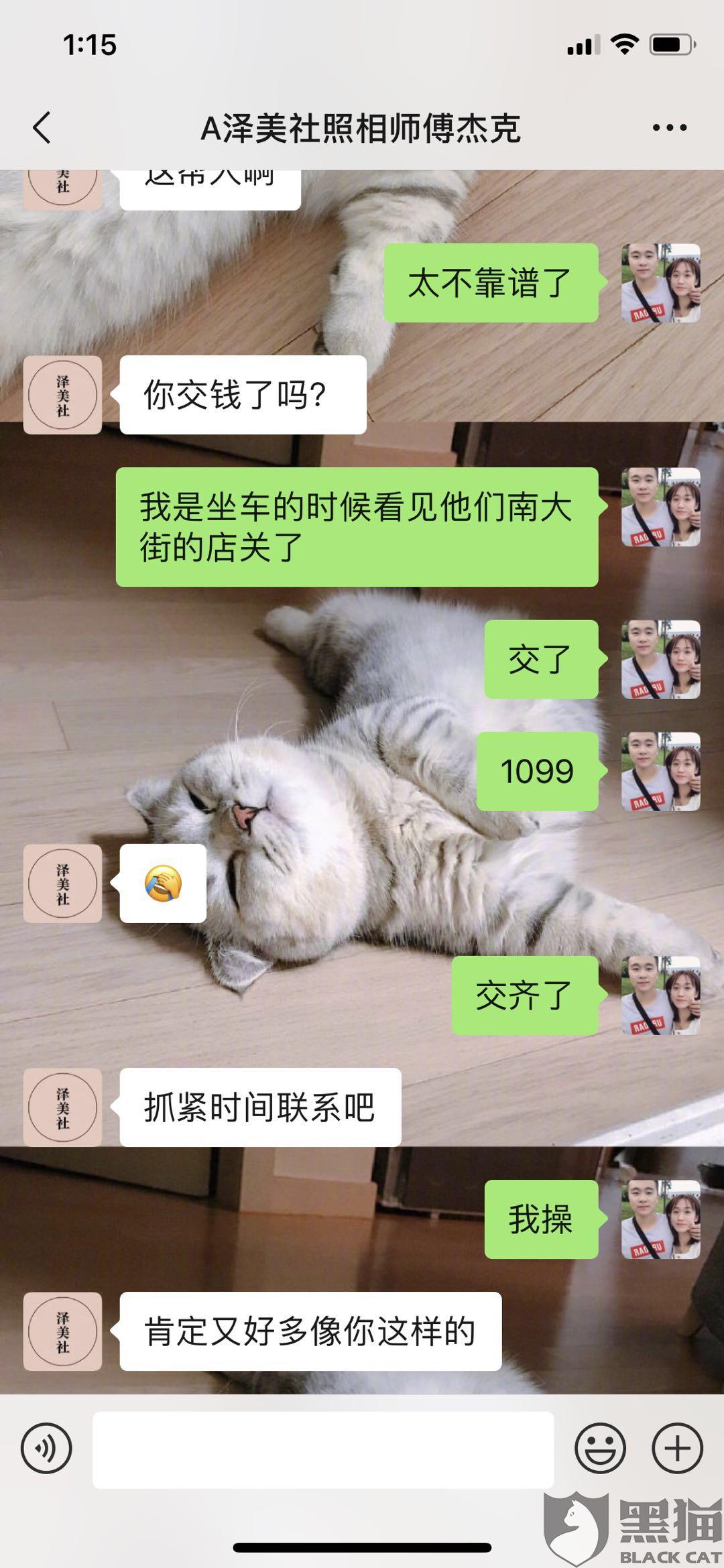 黑猫婚纱_黑猫婚纱照(3)