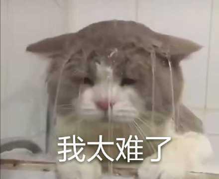 2017到2019，祖国蓝来了你还在担心养车吗