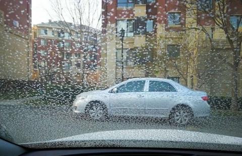 冬季天冷车玻璃易结霜，怎么快速除霜？