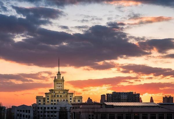 哈大 新浪（移动端）