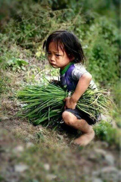 农村四岁小女孩,每天上山邦父母割草,衣衫褴褛甚至连鞋都没穿