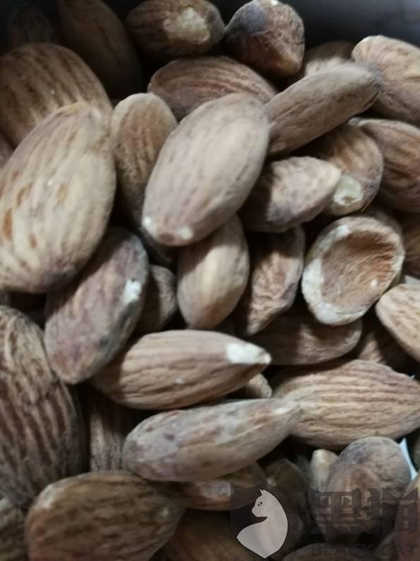 坚果怎么保存不会变质 8dd7-ikhvemx7929720.jpg