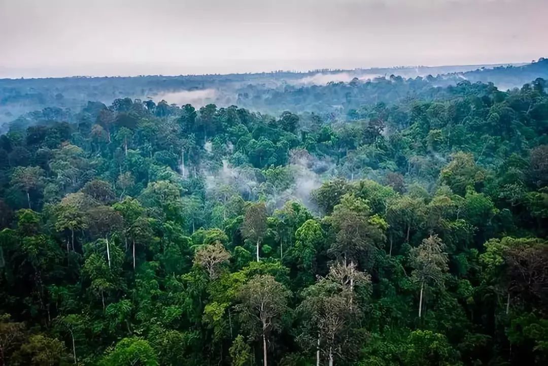 凡凡喜欢游乐园，李现最爱去日本，明星同款旅行地替你找好了！