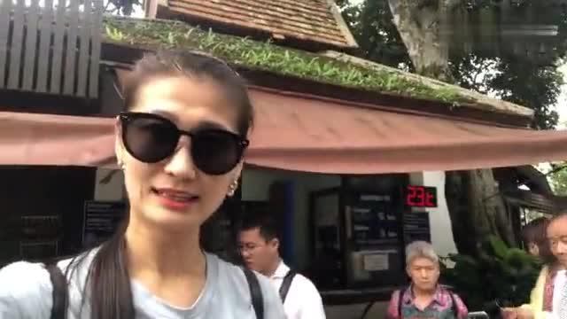 泰国vlog 清迈双龙寺