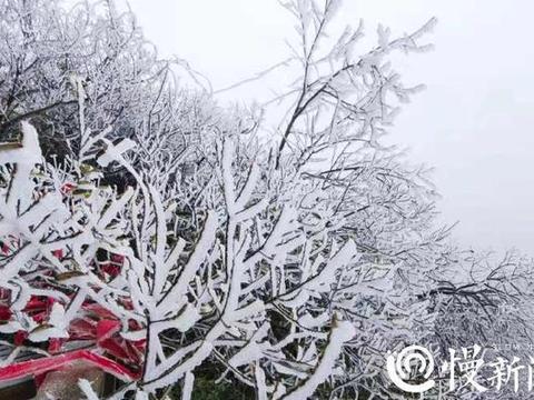 美呆了！重庆这两个景区迎来初雪堆雪人、打雪仗