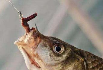 不同季节的海风，对抛竿的精准度影响有多大？有没有什么小技巧能减少风的干扰？