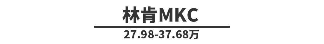 想开豪华SUV回家过年就看它们，只要20多万，养起来也不难！