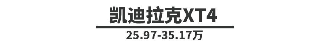 想开豪华SUV回家过年就看它们,只要20多万,养起来也不难!