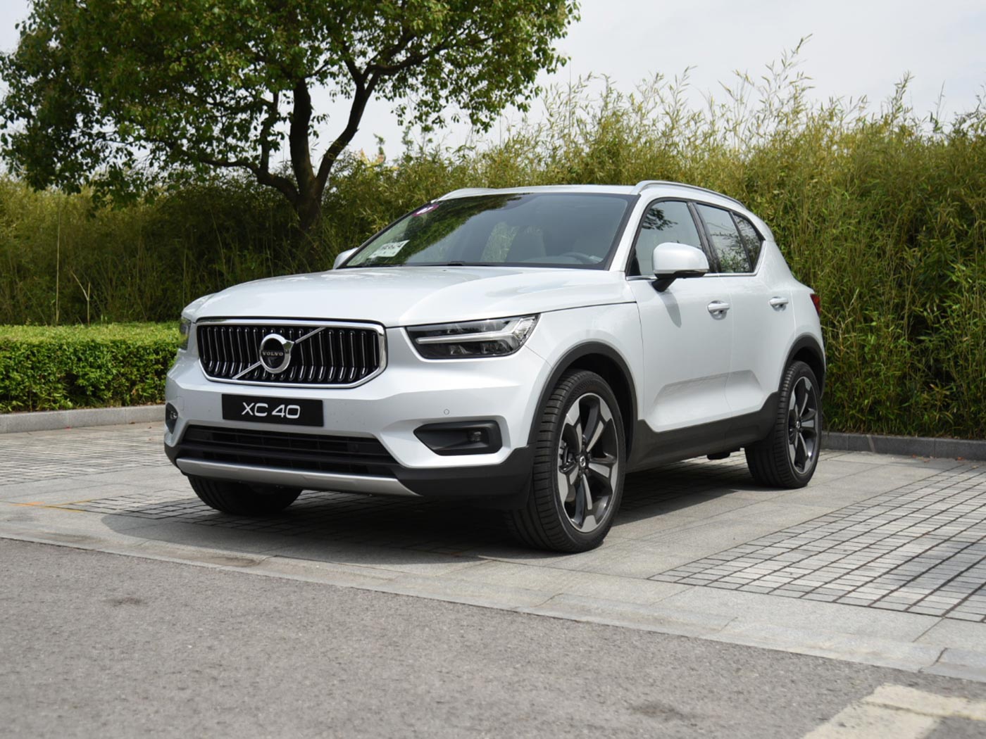 想开豪华SUV回家过年就看它们,只要20多万,养起来也不难!