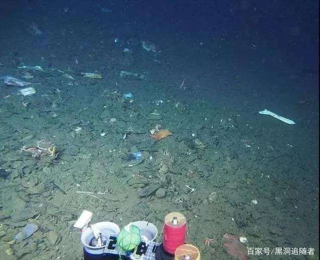 3900米深海，中国潜龙3号拍下震惊一幕，科学家劝诫人类收手