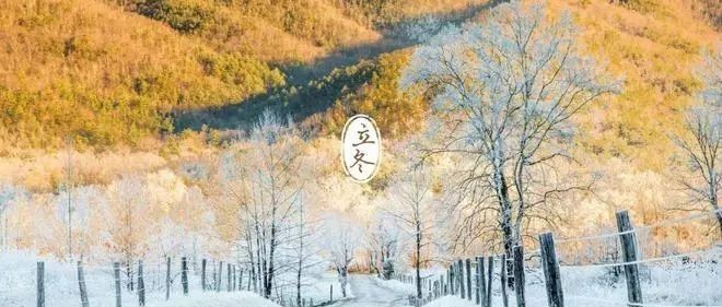 数说|11月国内车市销量下滑3.6% 2020年依旧难有起色