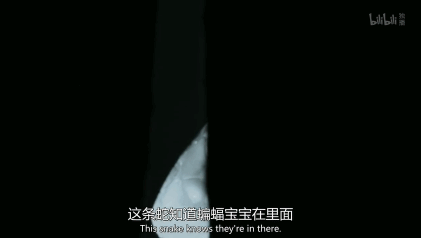 豆瓣9.5,它配得上所有的赞美 豆瓣9.5,它配得上所有的赞美