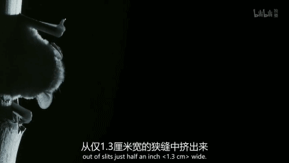 豆瓣9.5,它配得上所有的赞美 豆瓣9.5,它配得上所有的赞美
