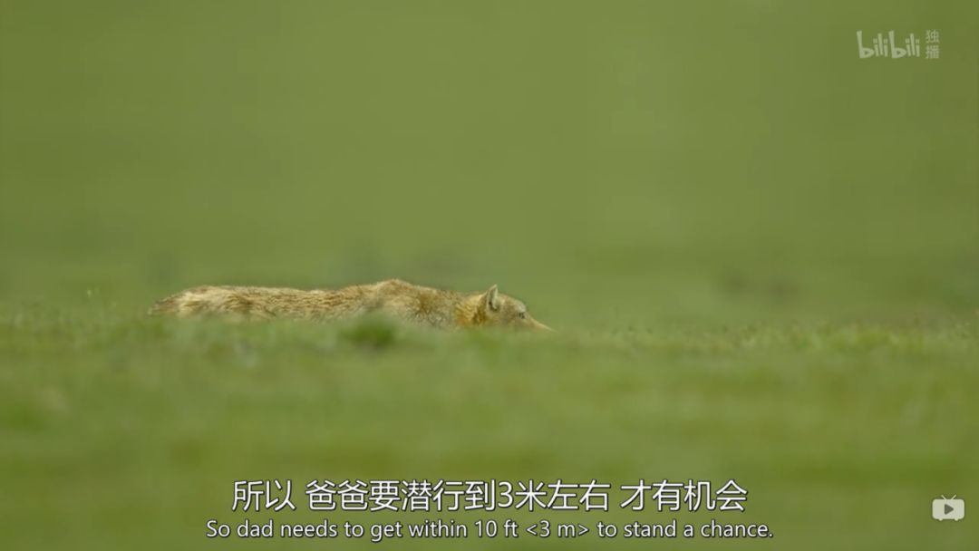 豆瓣9.5,它配得上所有的赞美 豆瓣9.5,它配得上所有的赞美