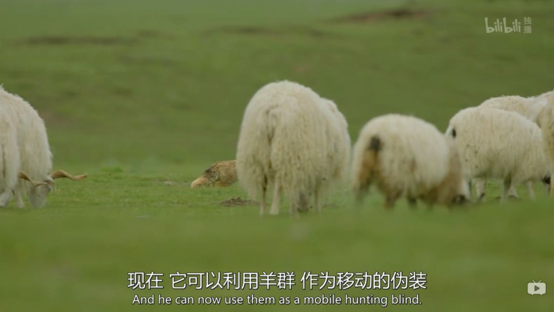 豆瓣9.5,它配得上所有的赞美 豆瓣9.5,它配得上所有的赞美