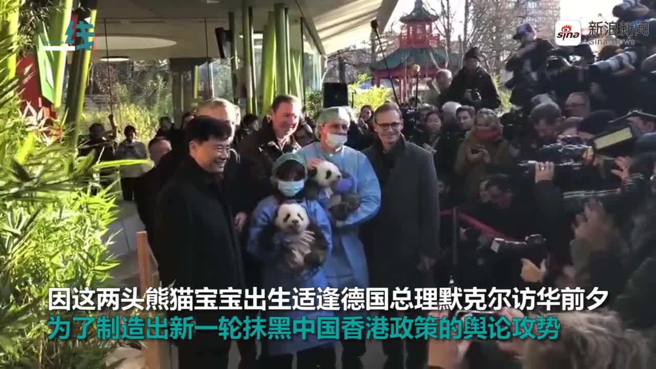 “港独”黑手伸向大熊猫宝宝 这座动物园严词拒绝(含视频)