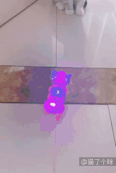 一爪子灰飞烟灭，化骨绵掌