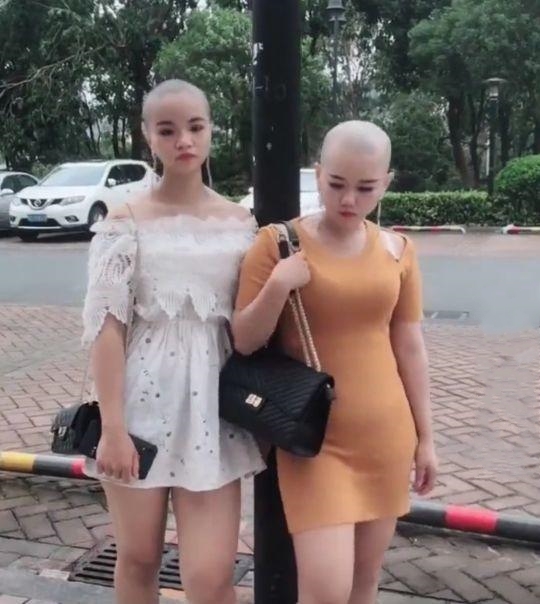 两位光头美女火了,一黄一白引人注目,网友:从头开始?