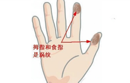 手上长几个簸箕命最好?