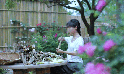 娶妻当娶李子柒，这个中国最美村姑，美哭千万外国人