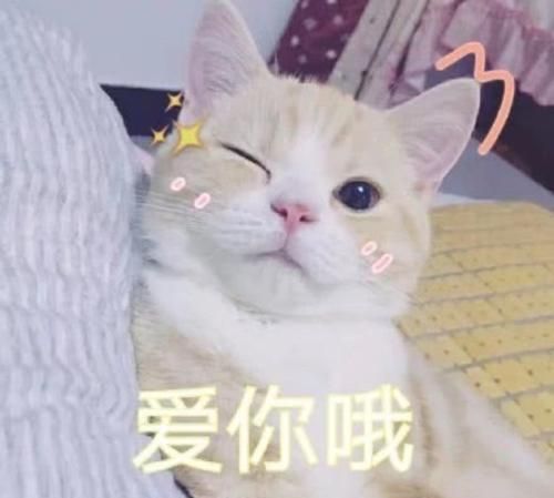 撩女朋友专用表情包来了,请注意查收,我们已经错过十余年