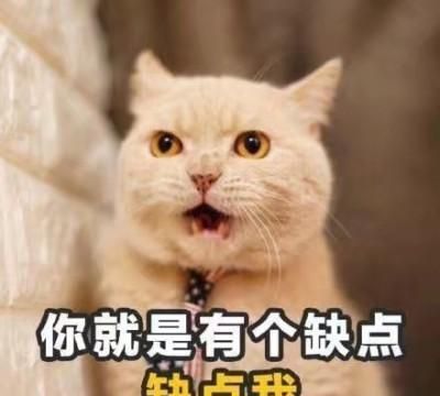 撩女朋友专用表情包来了,请注意查收,我们已经错过十余年