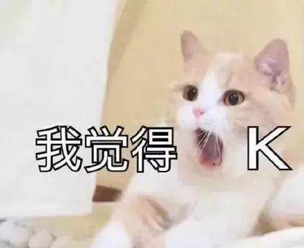 猫咪表情包：我不和你天下第一好了