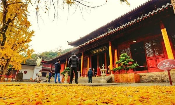 湖北当阳玉泉寺,千年银杏落叶如"黄金"|寺庙|玉泉寺