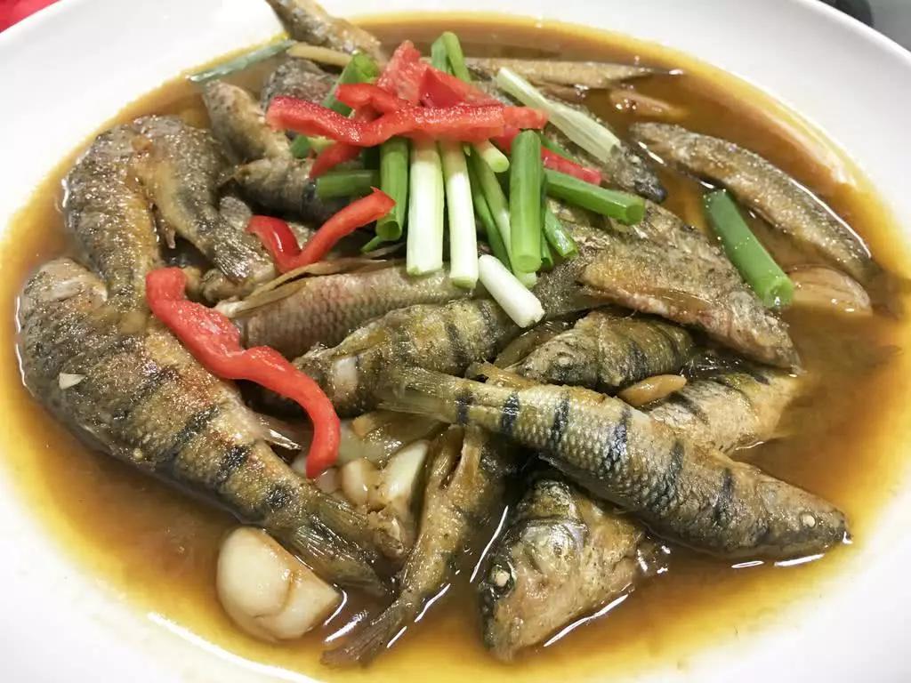 过去农村小溪很多的小鱼:溪石斑