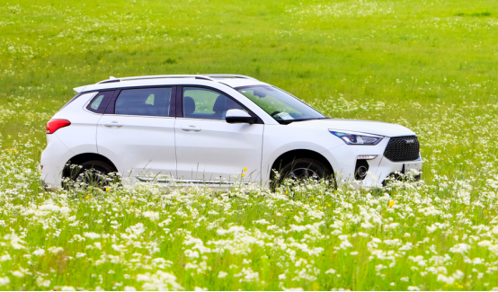 年末买新车,新哈弗H6 Coupe智联版优惠多,最真诚!