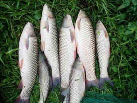 曝火!闲鱼线下怎么约:安全交易与靠谱见面全攻略