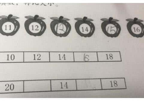 偶数和偶数的商是什么数?