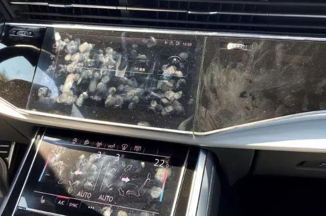 令车主崩溃的10个瞬间,看到第一个就想去后备厢拿锤头!