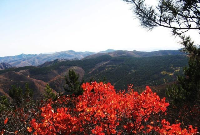 喀左第一高山:楼子山