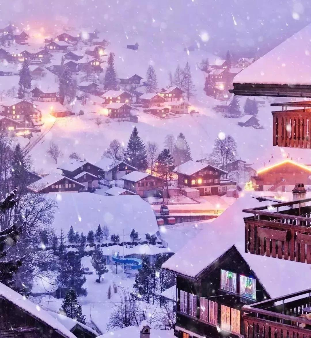 千辆车被困，22人冻死！巴基斯坦上万辆车赏雪景：遭...