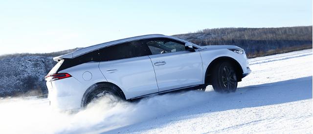 霸气不输汉兰达，30万级的配置，只卖13万，网友：面子金子都赚了