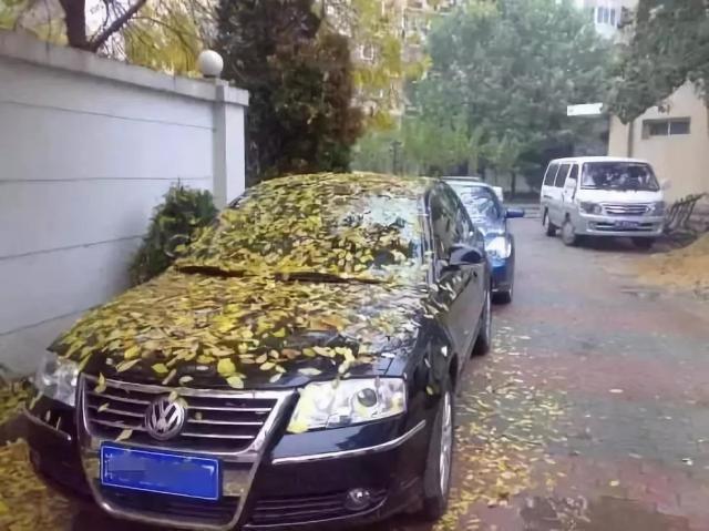 汽车最多能停放多少天不开？记住这个数，别等大修才后悔