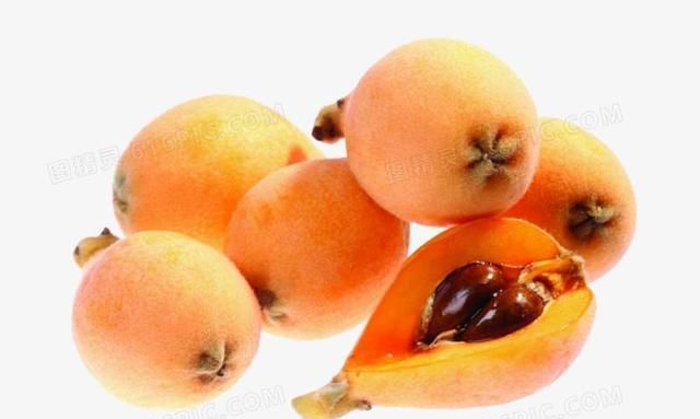 枇杷树已经开花，怎样管理，才能让它优质高产?