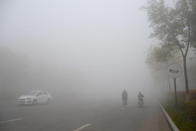 雾霾天这几种路段最为危险！行至一定要多加注意