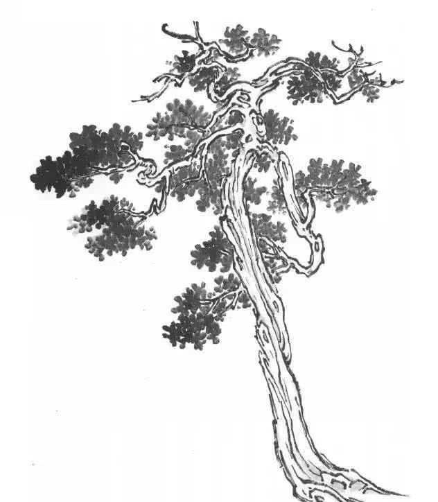 杨柳 国画山水的树法,以杨柳的形态为最难掌握.