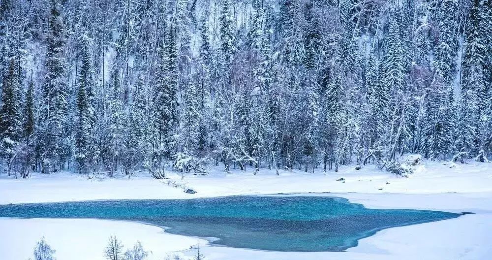 一起去看雪 | 冬季最佳旅行地来了|白雪|新疆|纳木错