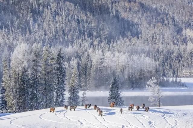 中国最长最美公路横空出世，全程10000公里，一路从雪域高原到热带雨林，惊艳到极致