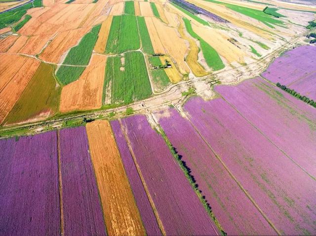 中国最长最美公路横空出世，全程10000公里，一路从雪域高原到热带雨林，惊艳到极致