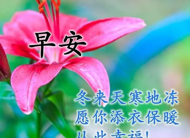 第二天早上好最美壁纸图片 漂亮早上好问候祝福语